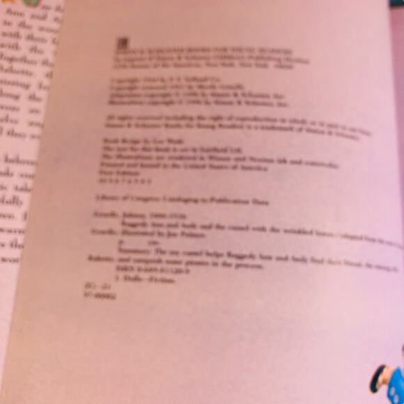 Lot of 4 Raggedy Ann and Andy Books Assorted Hardcover Jan Palmer - Picture 9 of 12